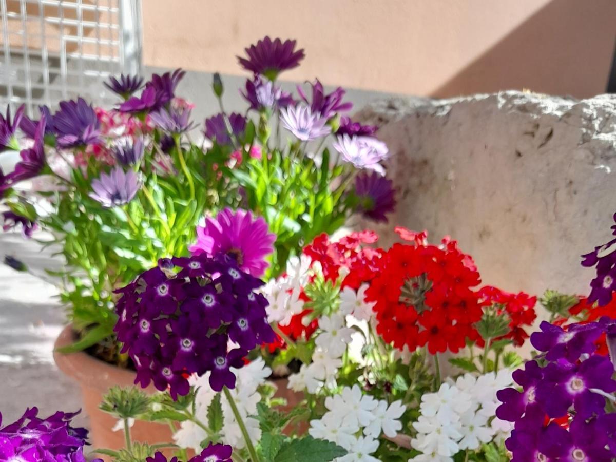 Su Fassoi Cabras Panzió Kültér fotó
